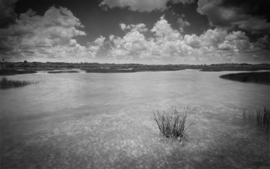 A tranquil marshland in the Florida Everglades stretches out under a sky dotted with fluffy clouds, with gentle waters reflecting the serene landscape. Tall grasses emerge from the shallow water, adding texture to the peaceful scene.  Captures on 8 x 10 Sheetfilm with a Pinhole camera. A pinhole camera has no lens, no viewfinder, and no electronics.