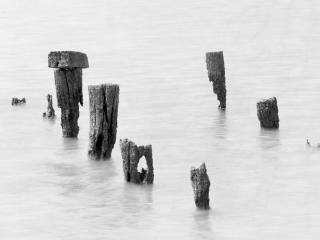 Weathered wooden posts stand partially submerged in calm water, creating a serene and minimalistic scene. The black-and-white tones emphasize the texture of the wood against the smooth surface of the water. Captured on film with an 8 x 10 inch field camera