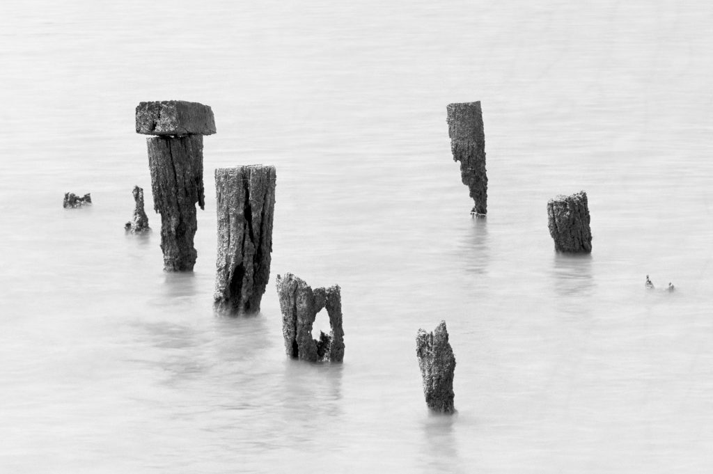 Weathered wooden posts stand partially submerged in calm water, creating a serene and minimalistic scene. The black-and-white tones emphasize the texture of the wood against the smooth surface of the water. Captured on film with an 8 x 10 inch field camera