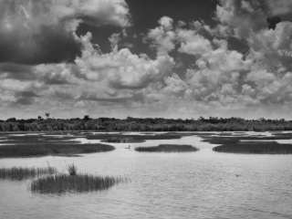 A vast marshland in the Florida Everglades National Park stretches across the foreground, dotted with patches of grass and reflecting the dramatic clouds overhead. The serene water contrasts with the thick, textured sky, creating a peaceful yet dynamic scene. Captured on 8 x 10 Large Format Sheet Film