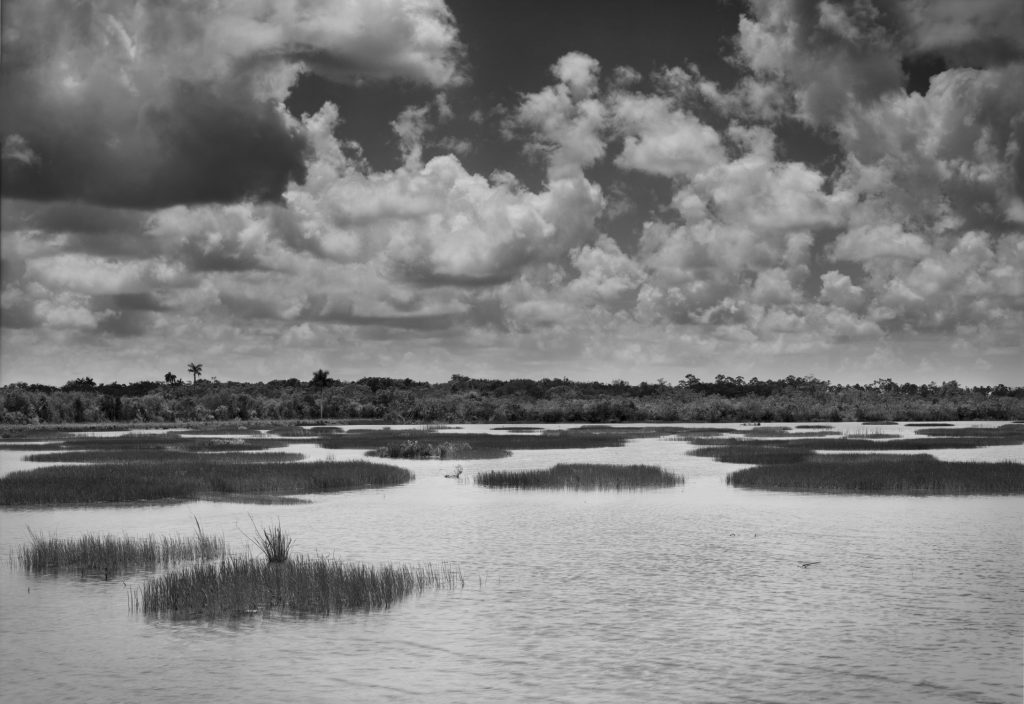 A vast marshland in the Florida Everglades National Park stretches across the foreground, dotted with patches of grass and reflecting the dramatic clouds overhead. The serene water contrasts with the thick, textured sky, creating a peaceful yet dynamic scene. Captured on 8 x 10 Large Format Sheet Film