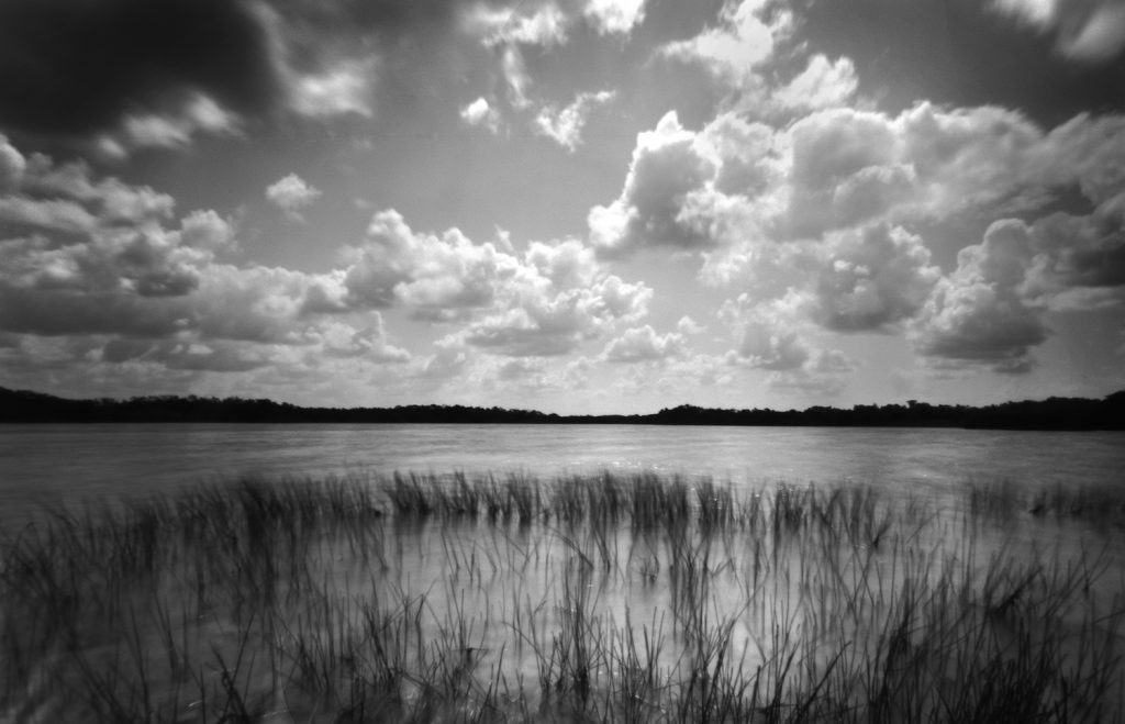 Pinhole image of the nine mile pond in the Everglades National Park. Captured on film