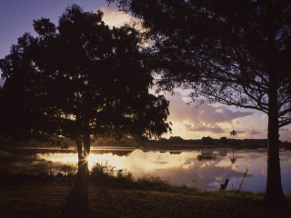 Early morning view of the Arthur R Marshall Wetlands in Palm Beach County, Florida. Captured on film
