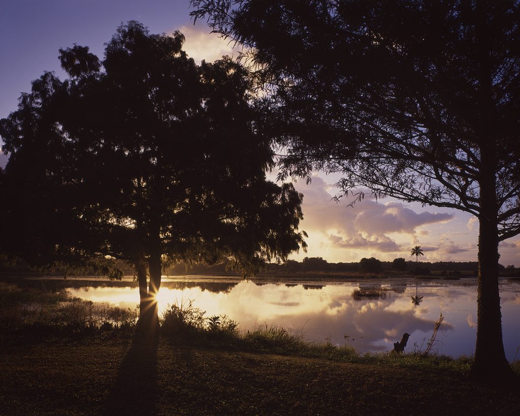 Early morning view of the Arthur R Marshall Wetlands in Palm Beach County, Florida. Captured on film