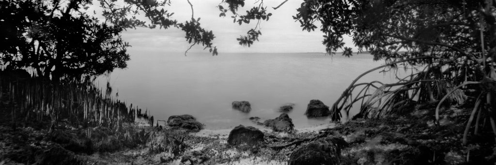 This image was captured on film with a 6 x 17 extreme wide angle pinhole camera. A pinhole camera has no lens, no viewfinder, and no electronics.  Red Mangrove trees in Biscayne National Park in Florida. Biscayne National park is for the most part under water and therefore the largest underwater park in the US. The park stretches' from South Miami to Key Largo Rudy Umans