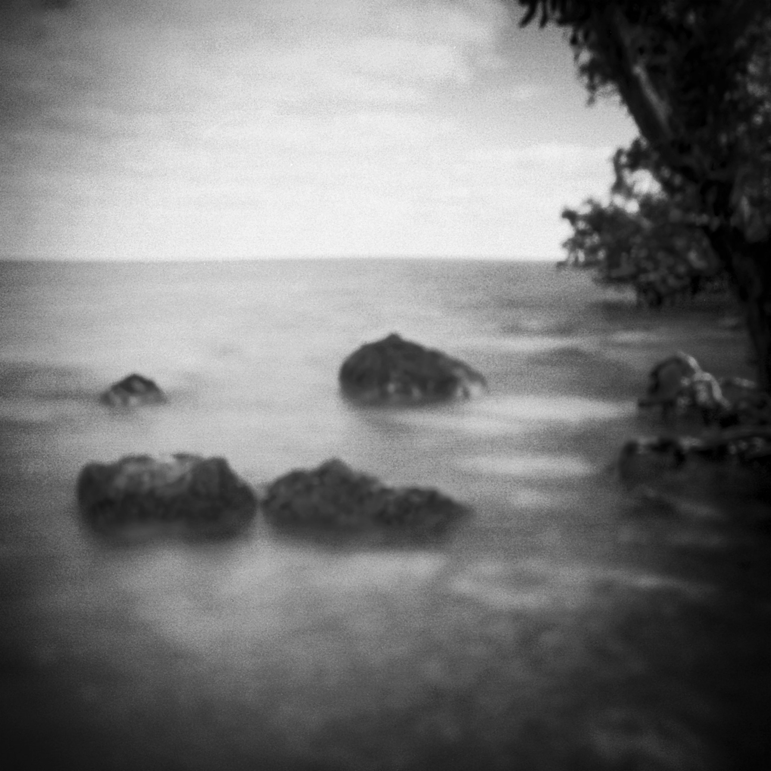This image was captured on film with a plastic toy camera with the lens removes and therefore making it a pinhole camera. A pinhole camera has no lens, no viewfinder, and no electronics.   Limestone rocks and Red Mangrove trees in Biscayne National Park in Florida. Biscayne National Park is for the most part under water and therefore the largest underwater park in the US. The park stretches' from South Miami to Key Largo Rudy Umans