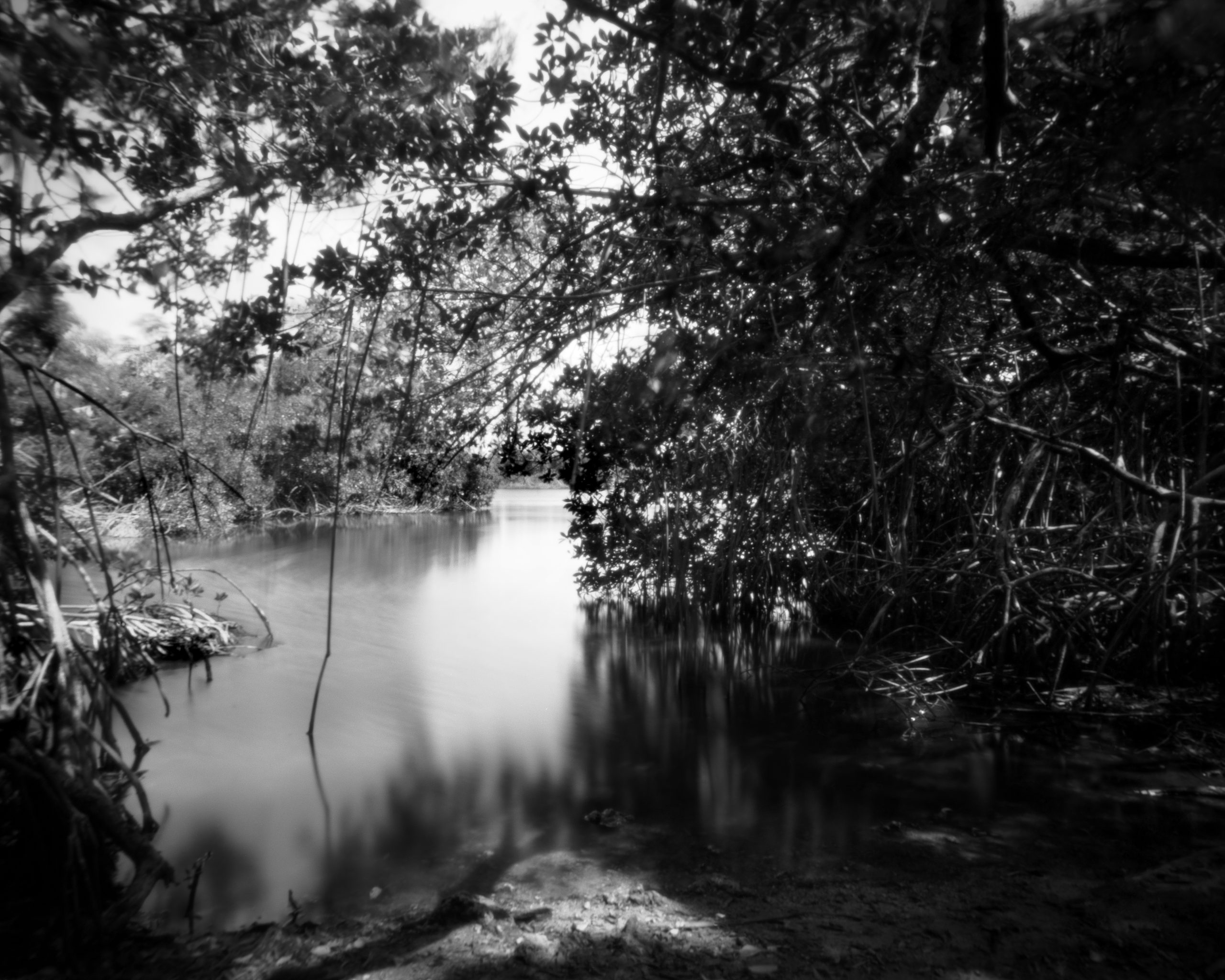 This image was captured on black and white film with a 4" x 5" (negative size) large format Pinhole Camera. A pinhole camera is basically just a box with a tiny hole and a place to put the film. No lens, no electronics, no viewfinder. Just a box and the photographer.   The Coot Bay pond in the Everglades National Park is one of the many lakes in the park.