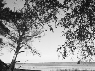 view of the Crooked river in the Georgia state park with the same name, The park is adjacent to the Naval Submarine Base in Kings Bay. Captured on Film