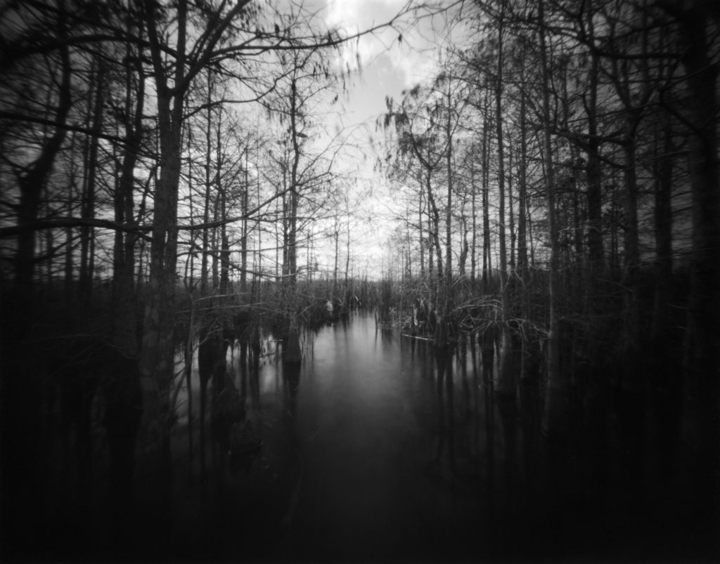 Everglades, Florida Pond cypress treesbeautiful scene in the Everglades National Park  This image was captured with a home made large format pinhole camera with a 4 x 5 inch negative size film. No post processing was applied whatsoever. A pinhole camera has no lens, no viewfinder, and no light meter, and no electronics. Just a hole in a box.