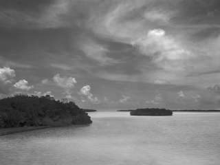 View of the Florida Bay at the most southern point of The Everglades National Park. The islands are mangroves, which are major nurseries for many types of fish. They are also hangouts for the American Crocodile.