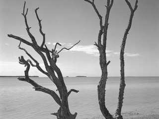 View of the Florida Bay at Flamingo Point, the most southern point of The Everglades National Park. Captured on the Guy Bradley Trail.  This image of the Florida Everglades was captured on old school analog film with a large format camera. The film was developed by the photographer. After professionally scanning, besides some old school local contrast adjustments (dodging and burning) no post processing was applied. Film photography gives a tone and &ldquo;feel&rdquo; to the image that only film photography can accomplish.