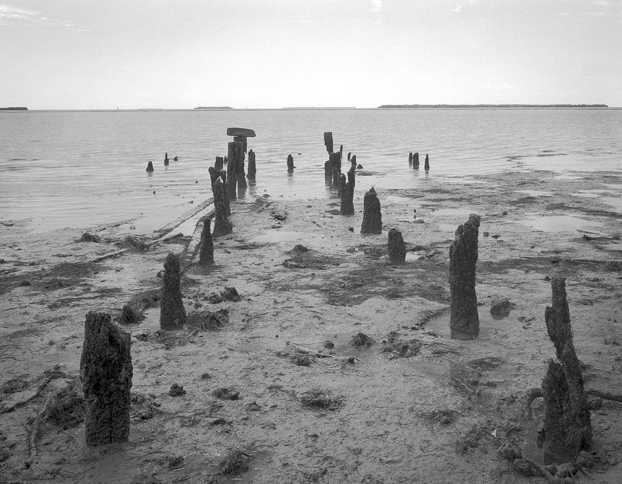 View of the Florida Bay at Flamingo Point, the most southern point of The Everglades National Park. These remains of a pier were once part of the visitors "entertainment" at Flamingo point This image of the Florida Everglades was captured on old school analog film with a large format camera. The film was developed by the photographer. After professionally scanning, besides some old school local contrast adjustments (dodging and burning) no post processing was applied. Film photography gives a tone and “feel” to the image that only film photography can accomplish. The Everglades National Park is a subtle place where earth, water, and sky blend in a low green landscape; where mere inches of elevation produce distinct changes in vegetation; and where a great wealth of birds and other wildlife find refuge. For this is almost exclusively a biological park dedicated to the preservation of a complex and precisely ordered living mechanism. It lies at the interface between temperate and sub-tropical America, giving a rich diversity of species, many at the limit of their ranges. its preservation for the benefit of present and future generations is better assured by awarding the Everglades with six designation. This alone makes the park unique since there is no other park in the world with six designations of any kind. - a National Park, - a national wilderness area, (86%) - an UN International Biosphere Reserve, - an UNESCO World Heritage Site, - a Ramsar Wetland of International Importance, - and a specially protected area under the UN Environmental Cartagena Treaty.