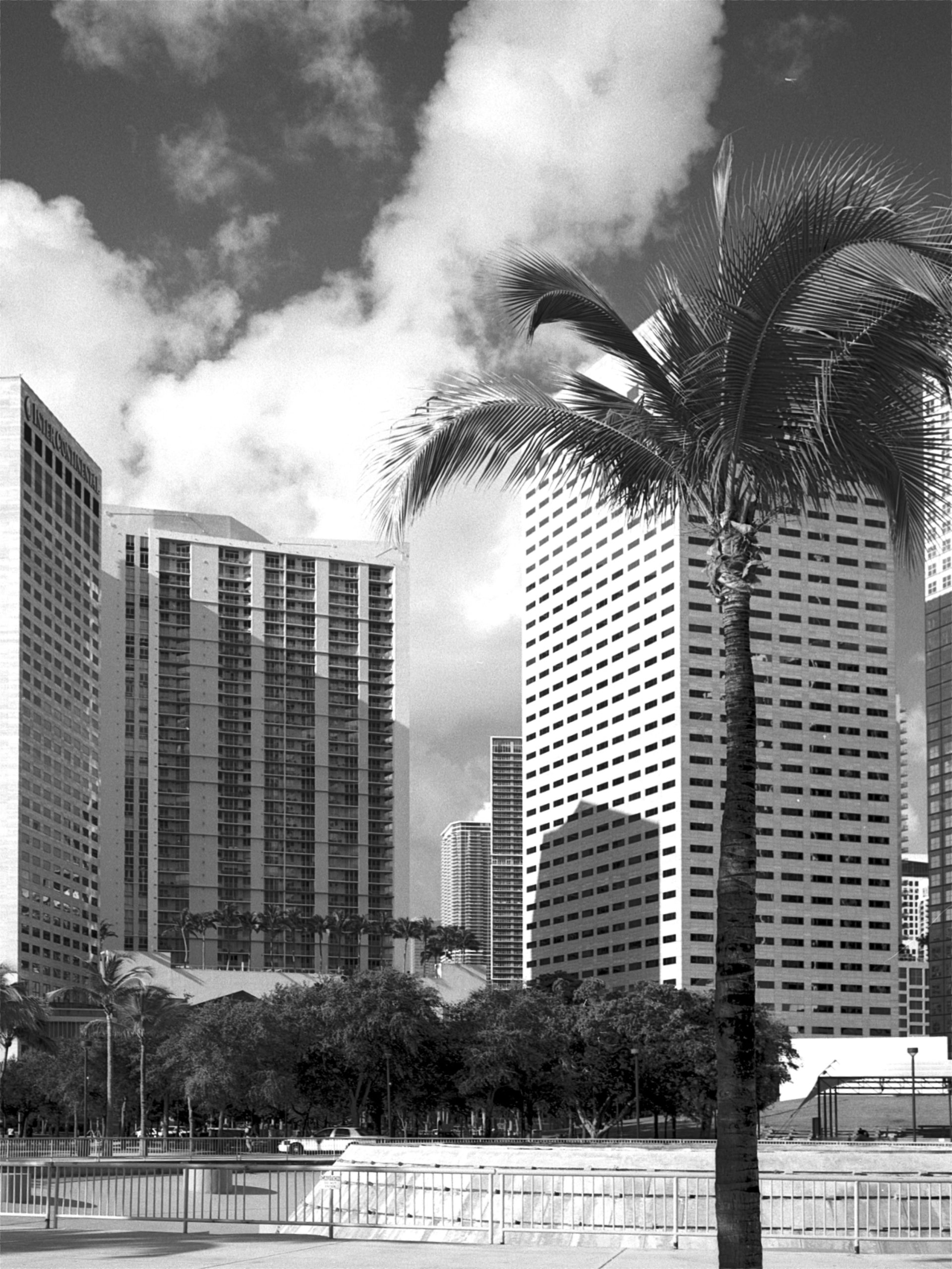 Officie buildings Downtown Miami, Florida. Captured on Film.