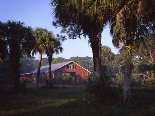 A red Barn in the Dupuis WMA in FLorida. Captured on film
