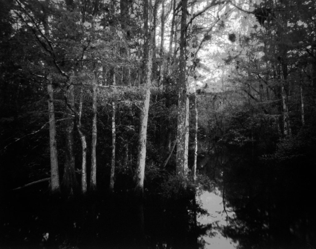 Big Cypress pinhole - Beautiful landscape in the Big Cypress National preserve Big Cypress is adjacent to the Everglades in Florida. This image was captured on film with a pinhole camera.