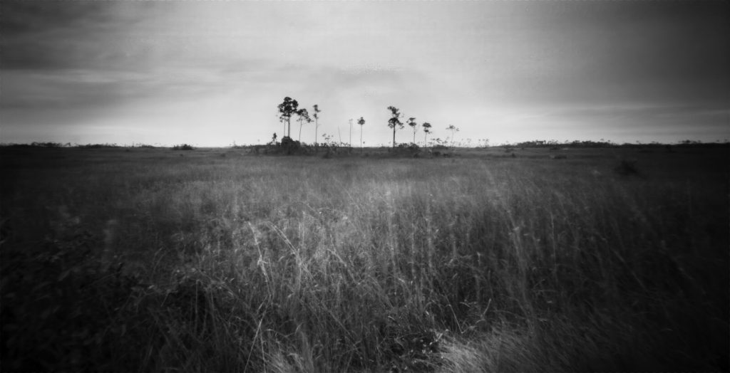Taylor Slough in B/W - This image was captured with a wooden Zero Image 6x9 cm Pinhole camera on black and white film. (no lens, no electronics, no viewfinder)   View of the Taylor Slough in the Florida Everglades. A slough is a slow moving body of water. A very shallow river really and the Taylor slough is the smaller of the the two main sloughs in the Everglades