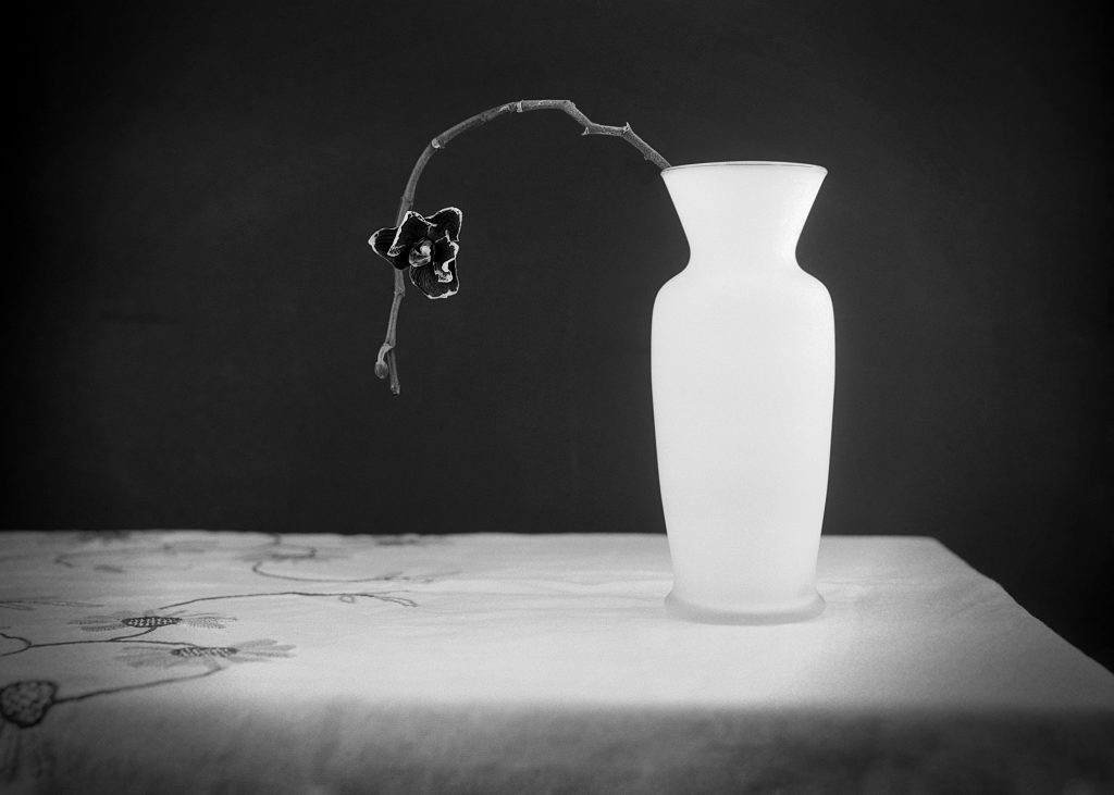 still life of an vase and a flower on a table with a tablecloth. Captured on film.