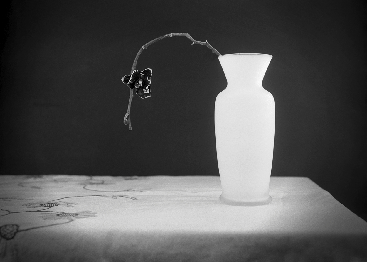 A Vase and a flower on a table. Captured on film with a vintage camera
