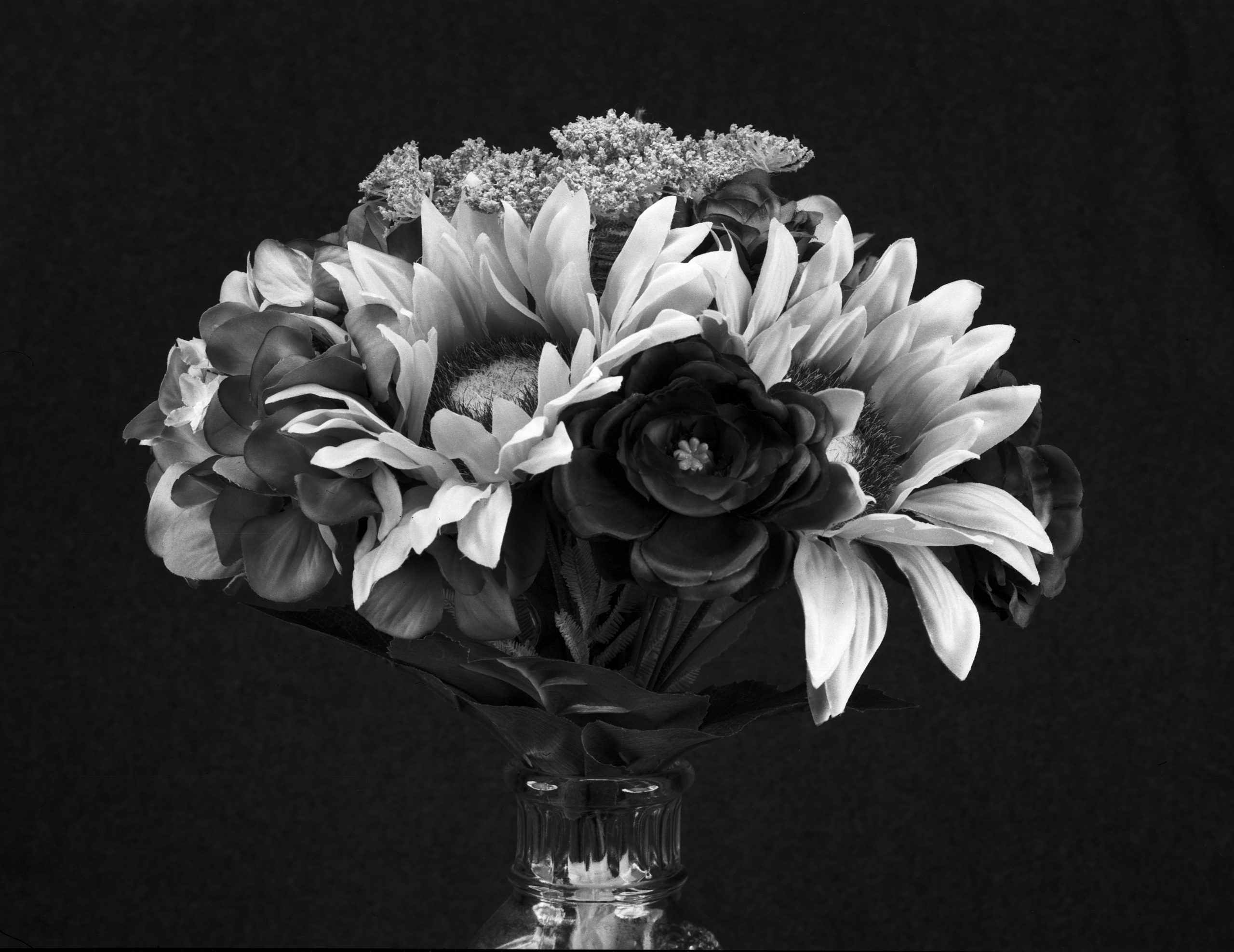 Flowers in a vase in black and white. Captured on film!