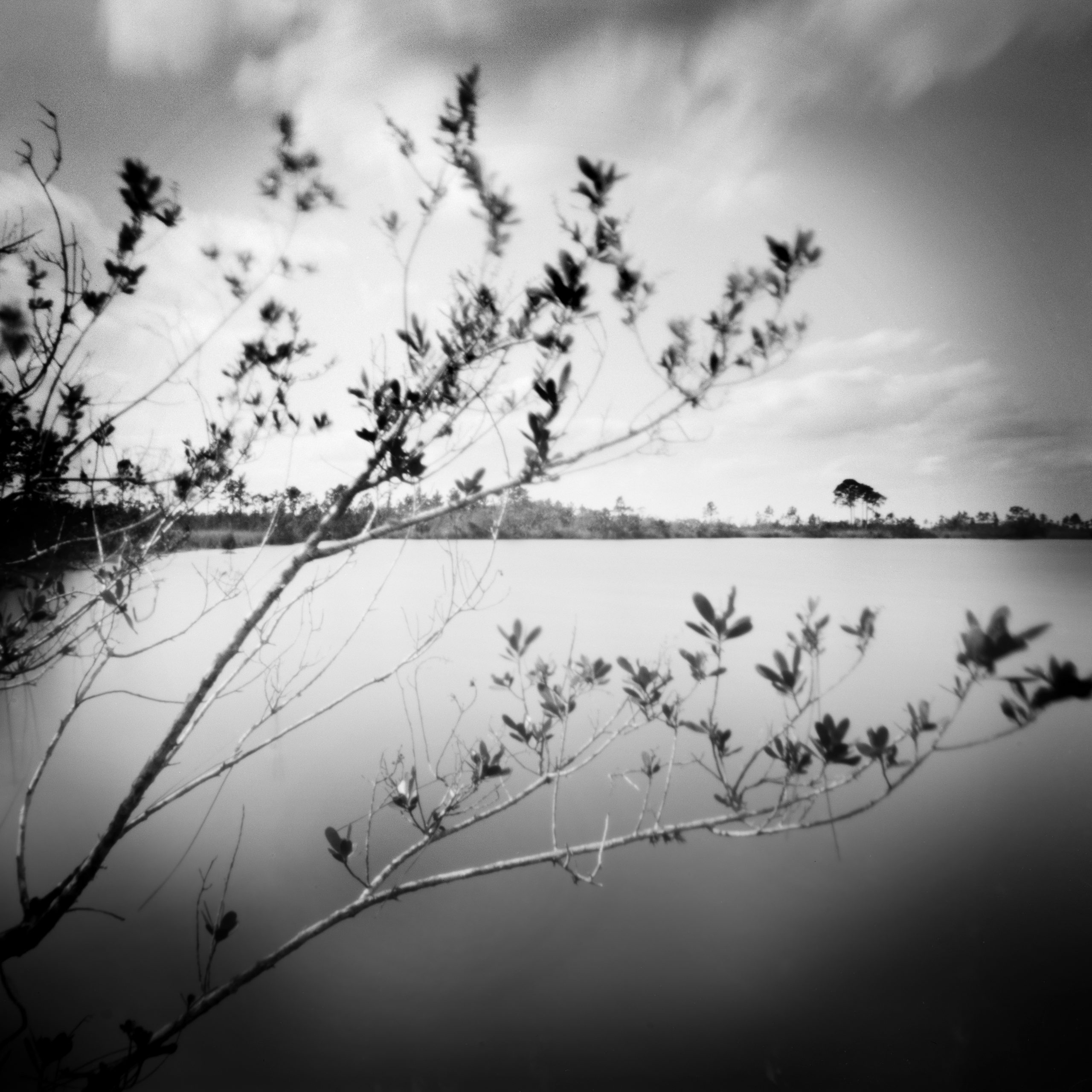 Pinhole Pine Glades Lake - EvergladesBeautiful lake view landscape in the Florida Everglades National Park. This image was captured on black and white film with a 4" x 5" (negative size) large format Pinhole Camera.