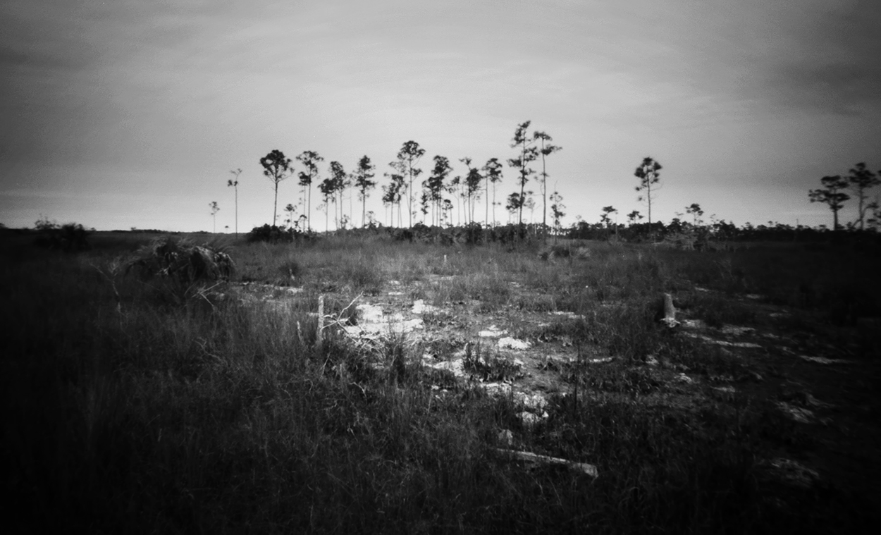 Everglades- - Web site